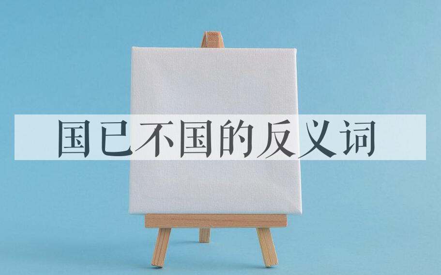用国已不国造句