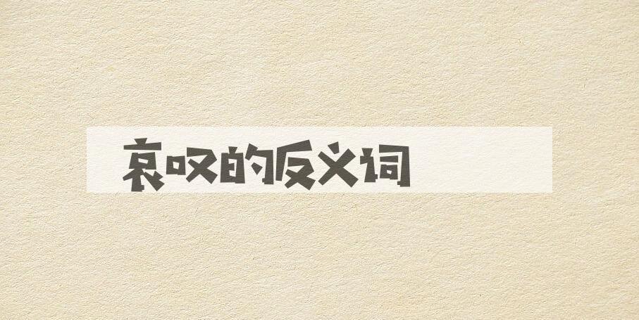 用哀叹造句