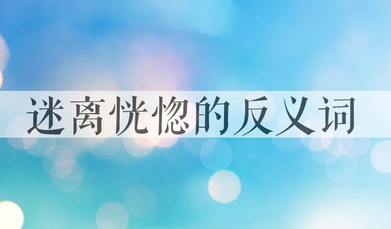 用迷离恍惚造句