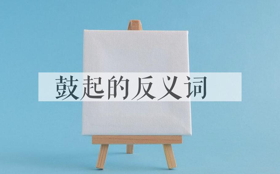 用鼓起造句