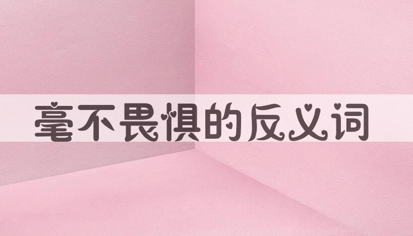 用毫不畏惧造句