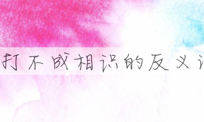 用不打不成相识造句