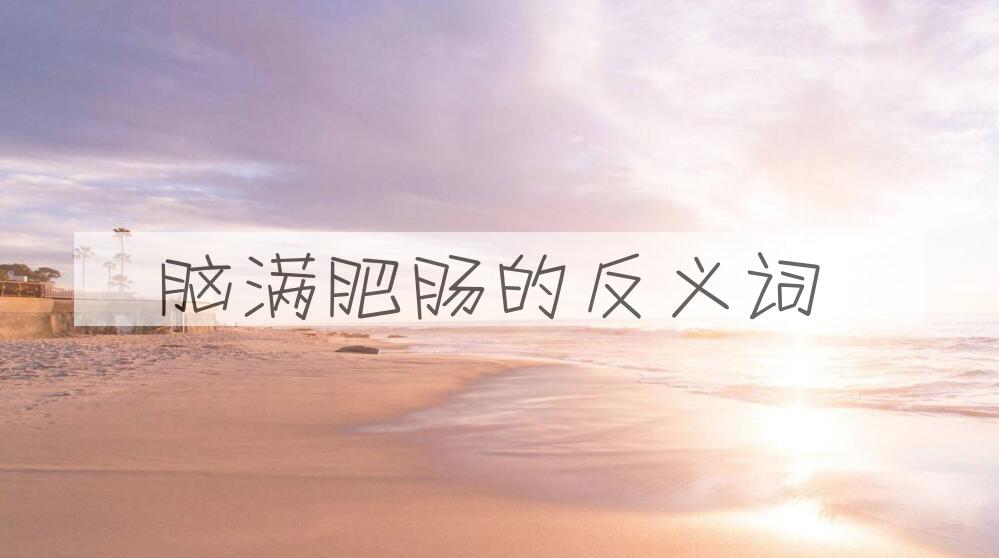 用脑满肥肠造句