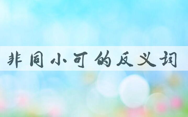 用非同小可造句