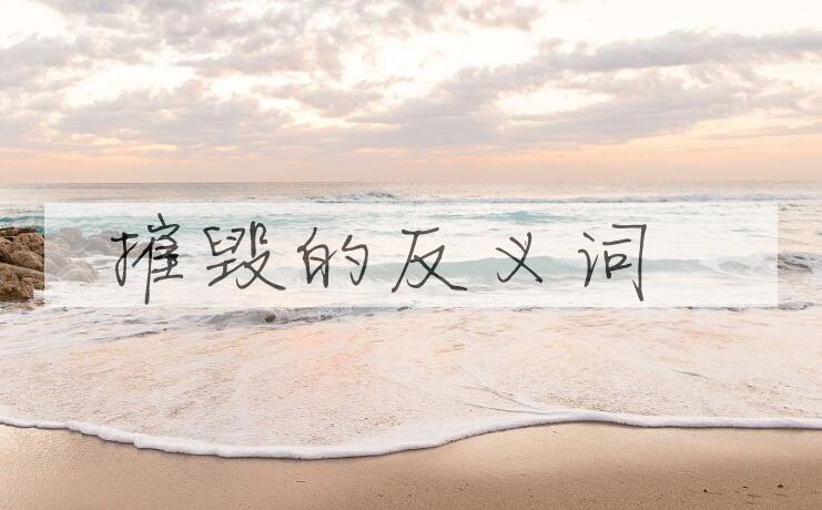 用摧毁造句
