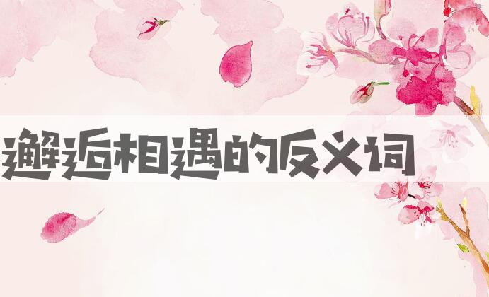 用邂逅相遇造句