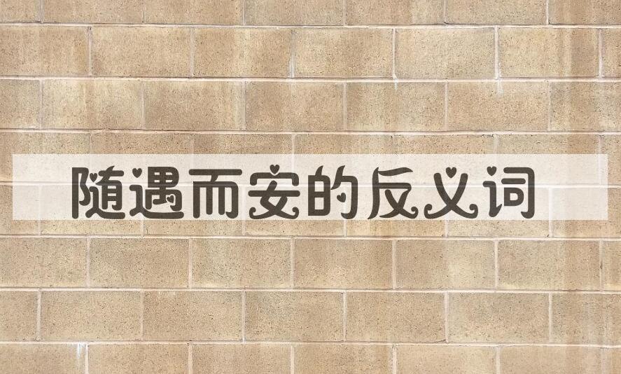 用随遇而安造句