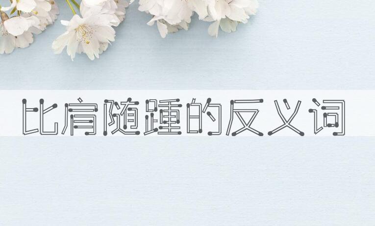 用比肩随踵造句