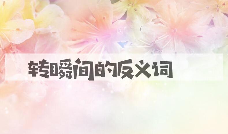 用转瞬间造句
