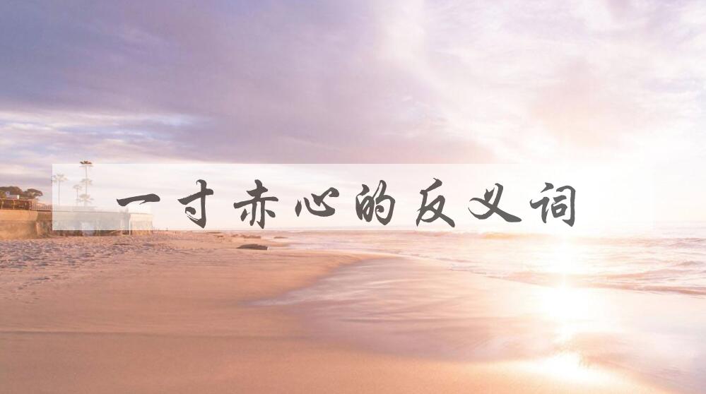 用一寸赤心造句
