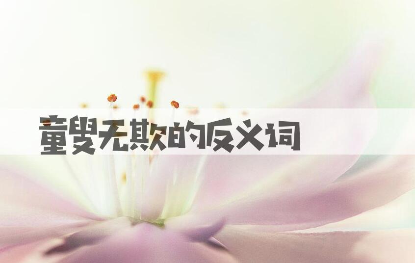 用童叟无欺造句