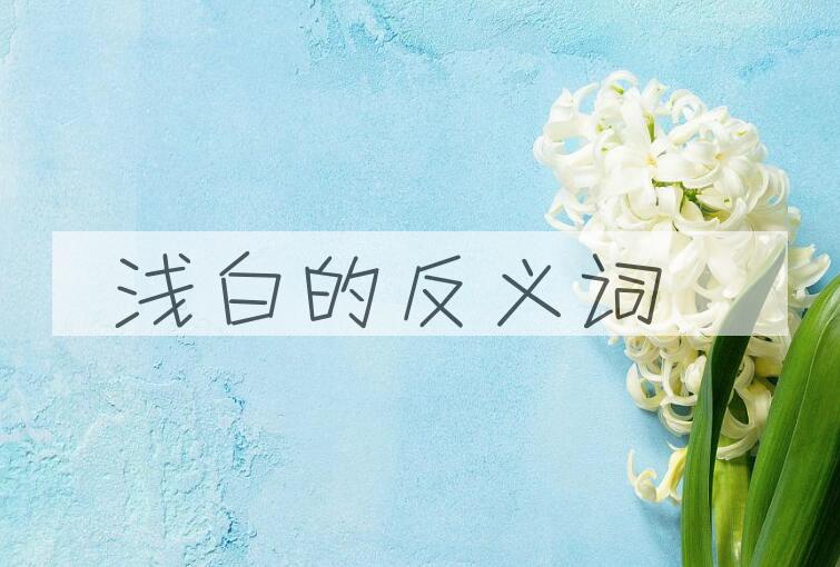 用浅白造句