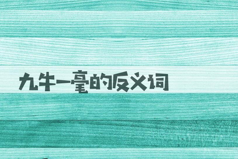 用九牛一毫造句