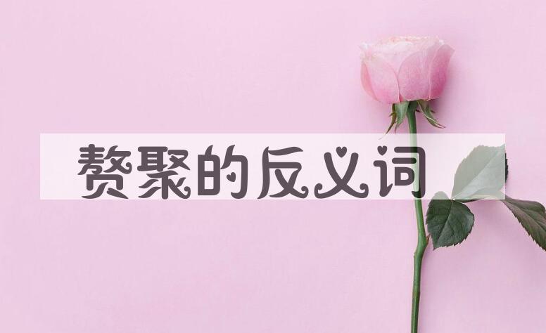 用赘聚造句