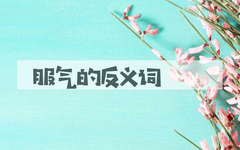 用服气造句