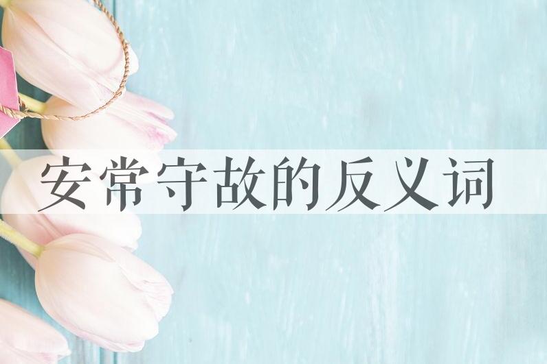 用安常守故造句