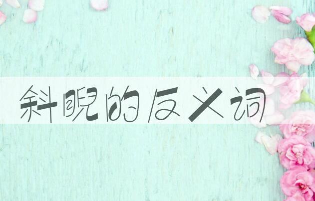 用斜睨造句