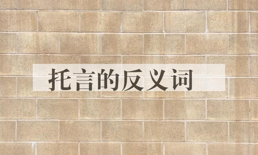 用托言造句