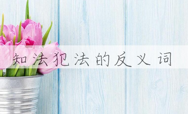 用知法犯法造句