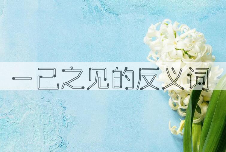 用一己之见造句