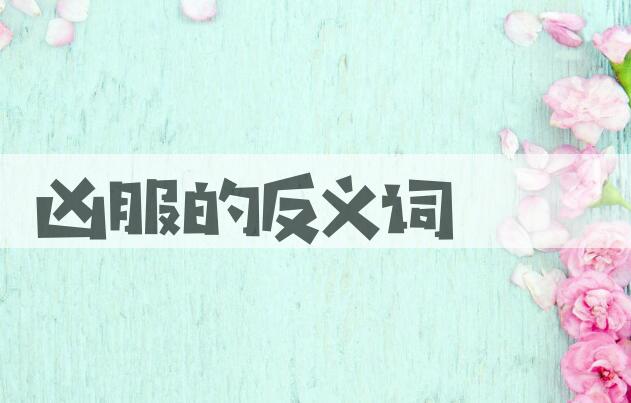 用凶服造句