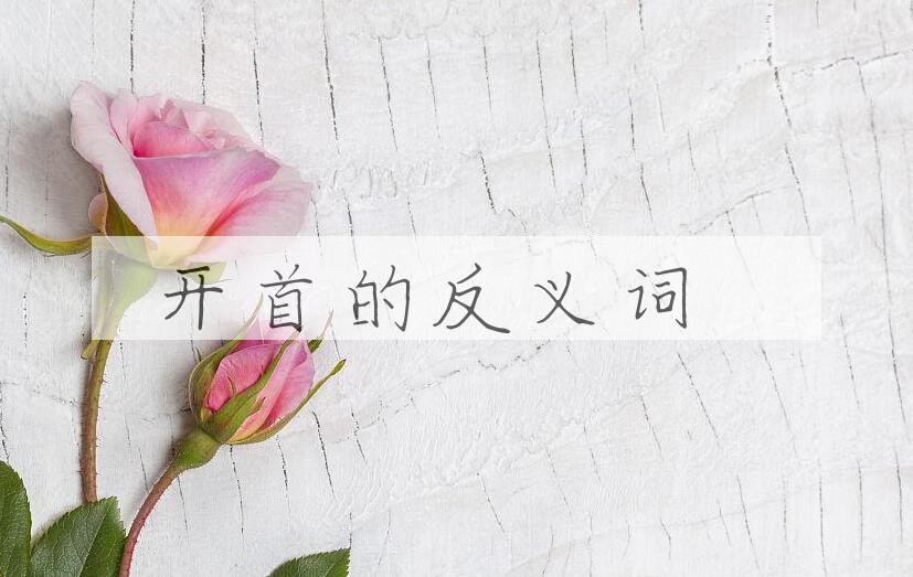 用开首造句