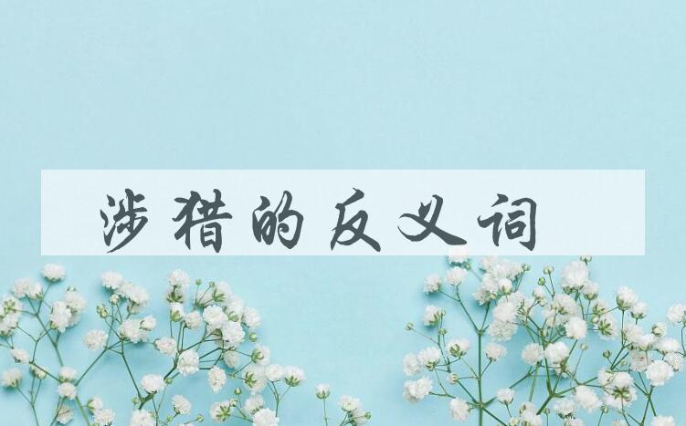用涉猎造句