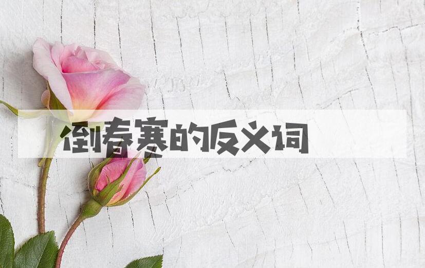 用倒春寒造句