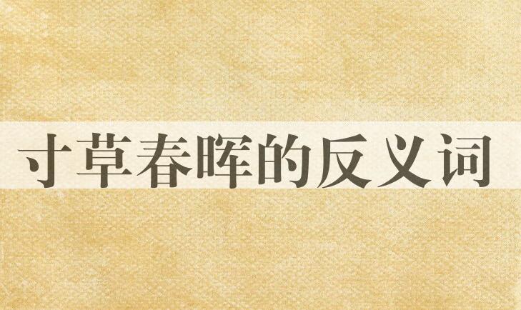用寸草春晖造句