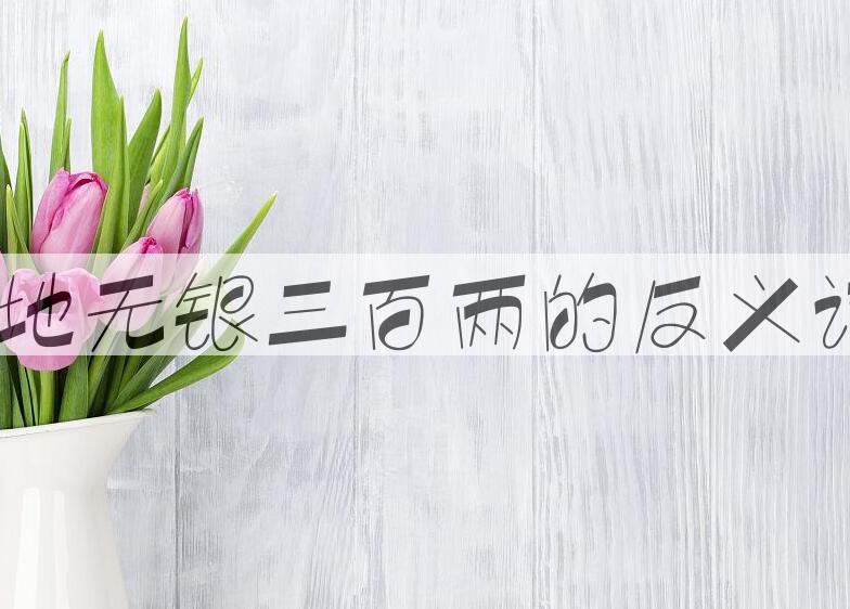用此地无银三百两造句
