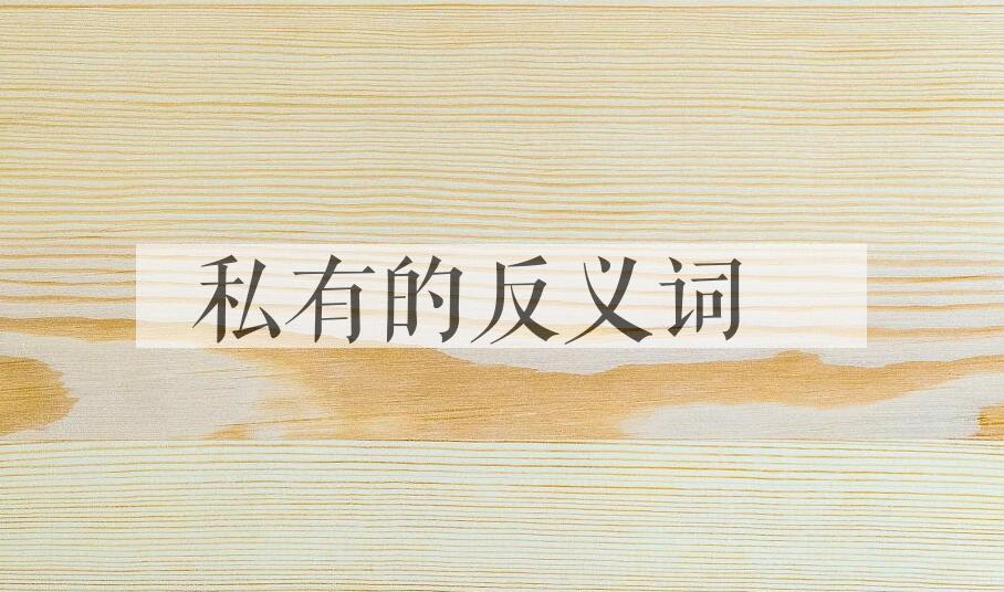 用私有造句
