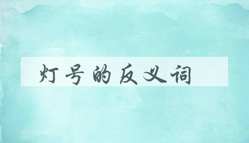 用灯号造句