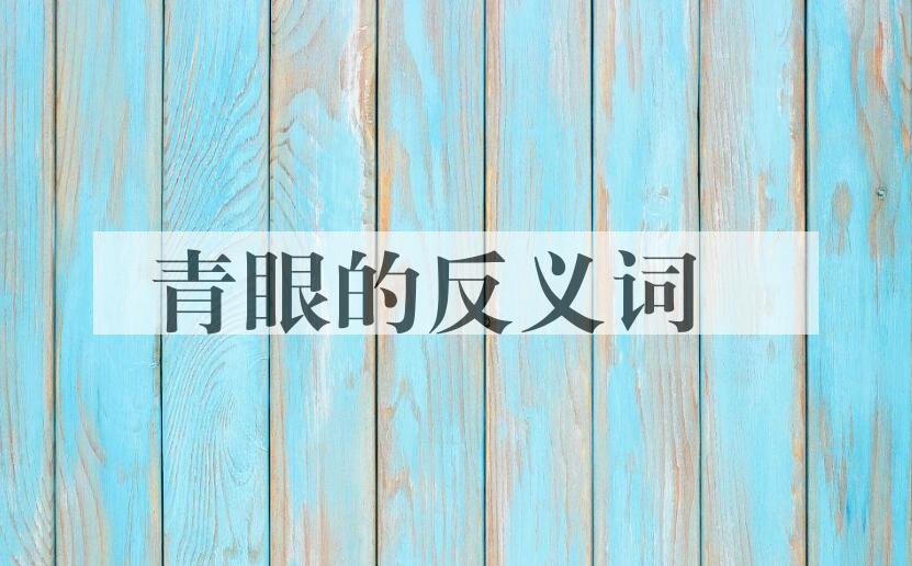 用青眼造句