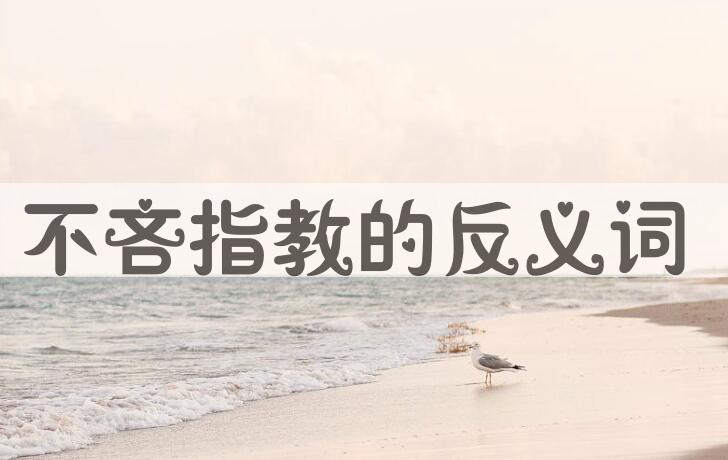 用不吝指教造句