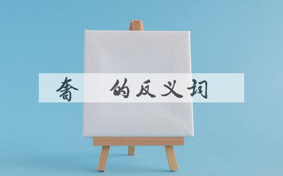 用奢睿造句