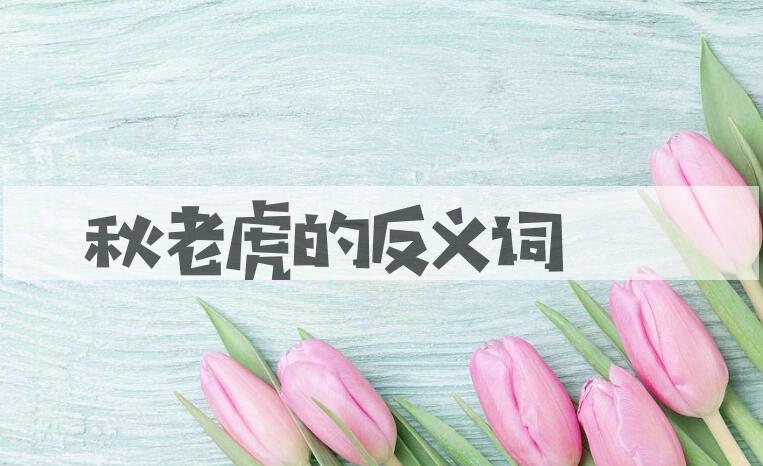 用秋老虎造句