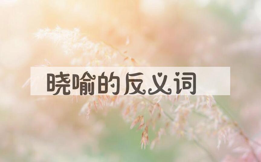 用晓喻造句