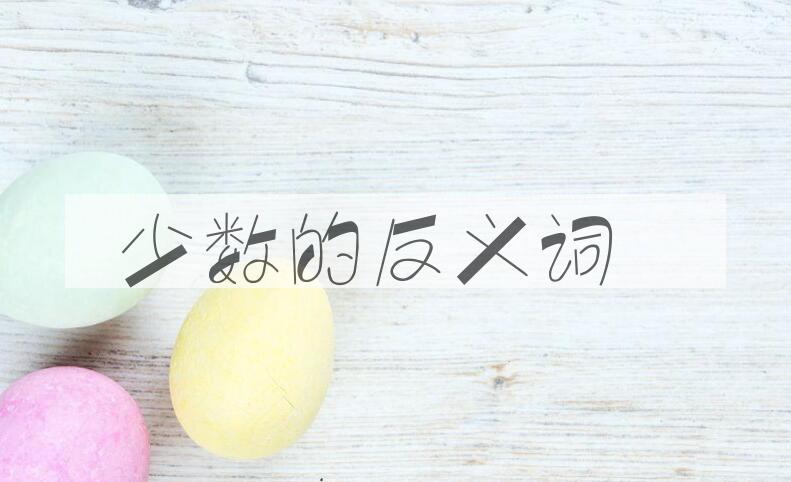 用少数造句