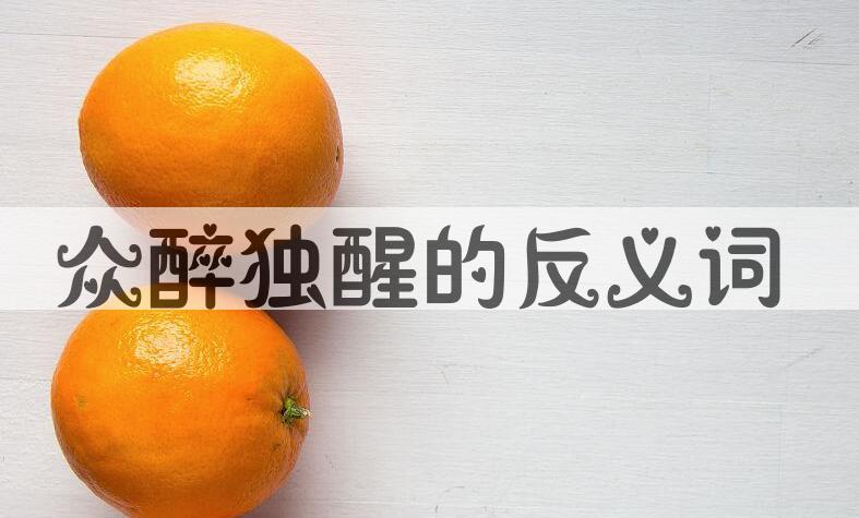 用众醉独醒造句