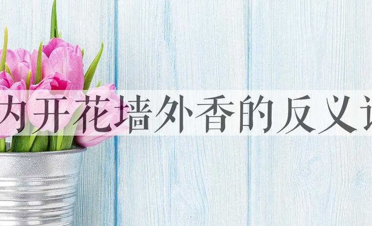 用墙内开花墙外香造句