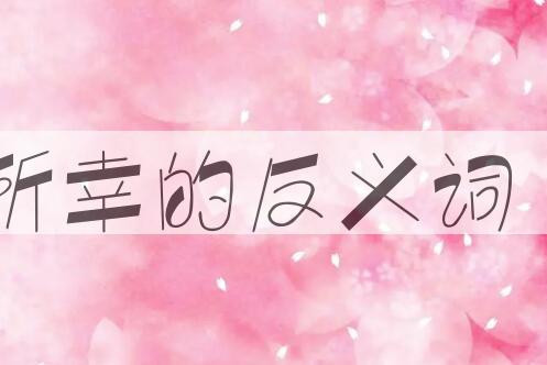 用所幸造句