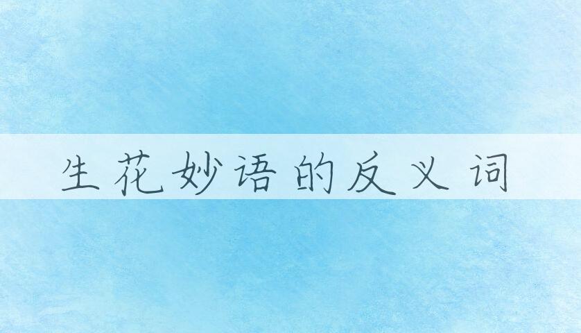 用生花妙语造句