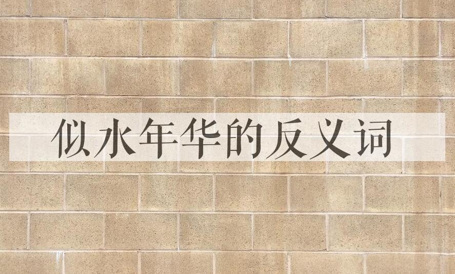 用似水年华造句