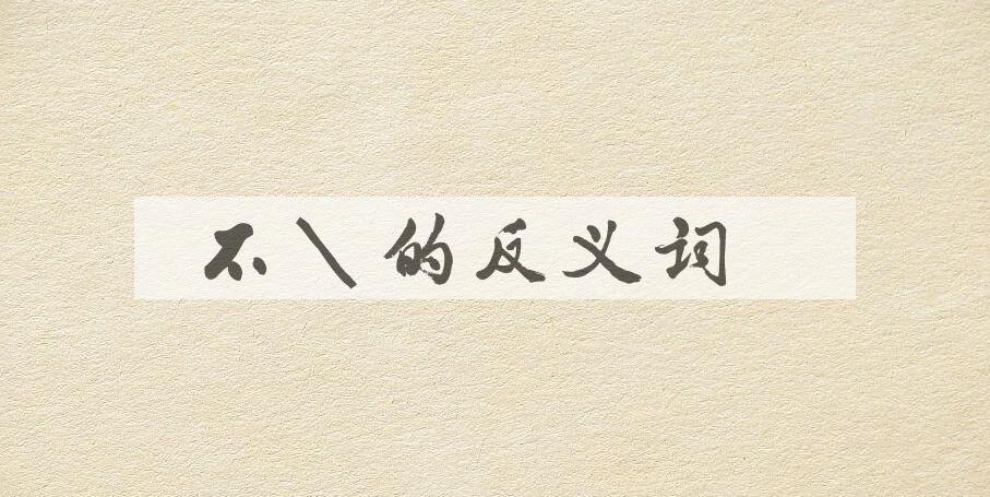 用不爽造句