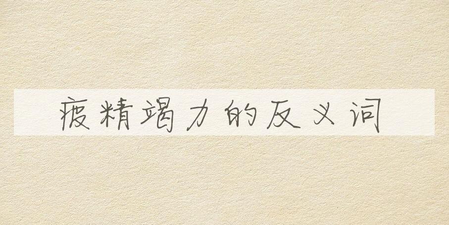 用疲精竭力造句