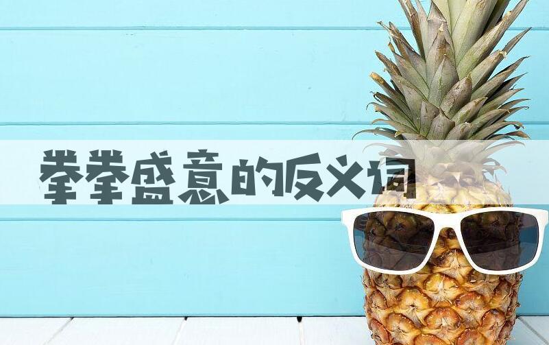 用拳拳盛意造句