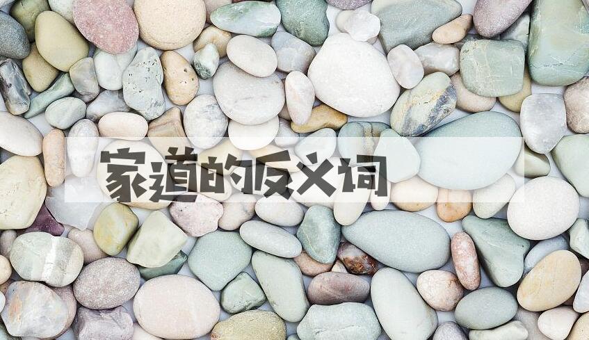 用家道造句