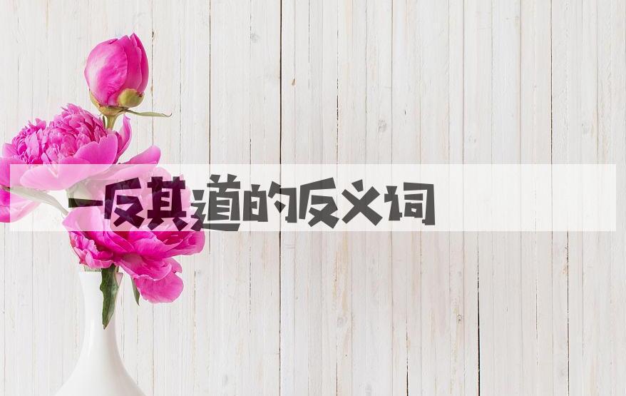 用一反其道造句