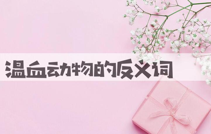 用温血动物造句