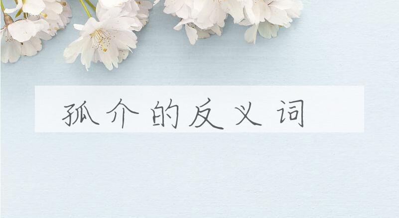 用孤介造句